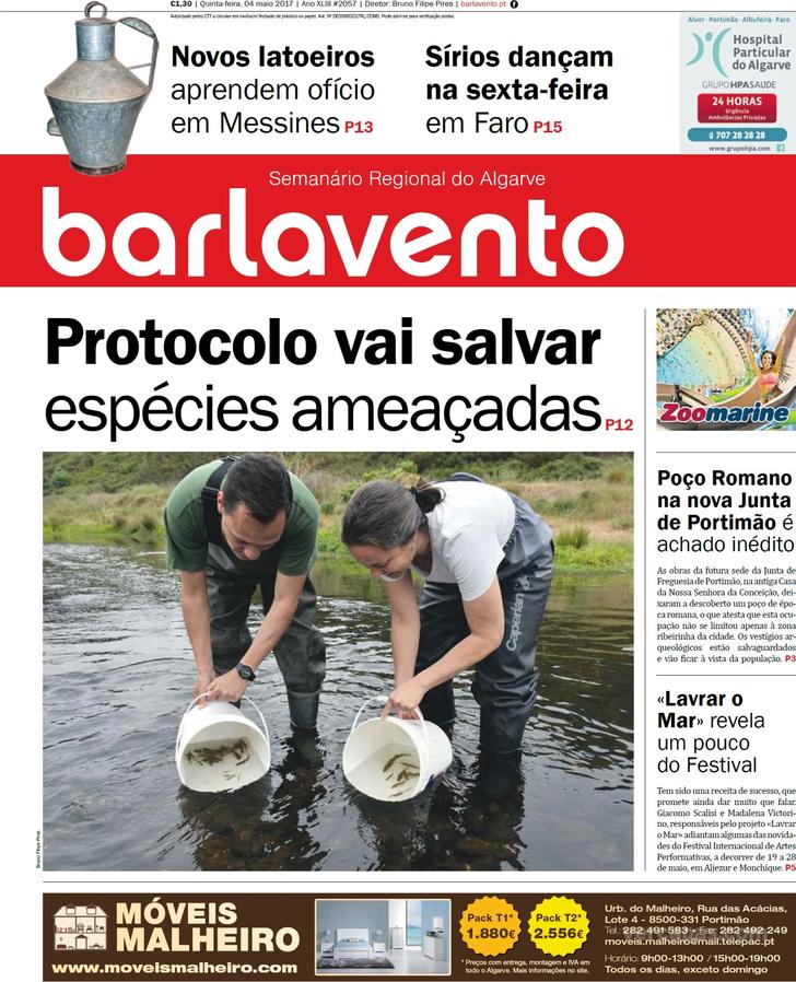 Barlavento