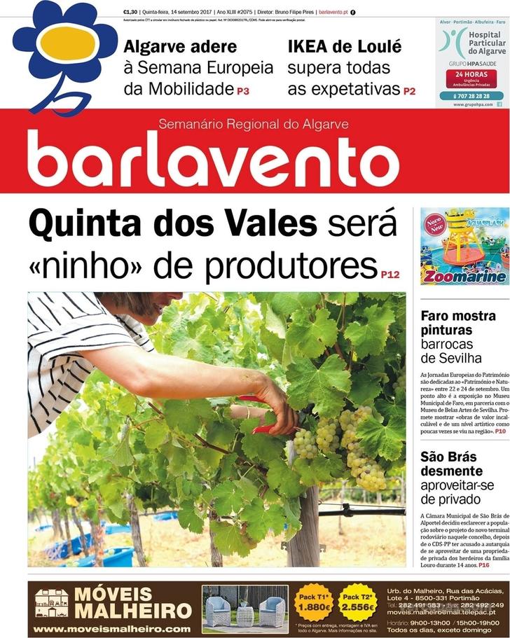 Barlavento