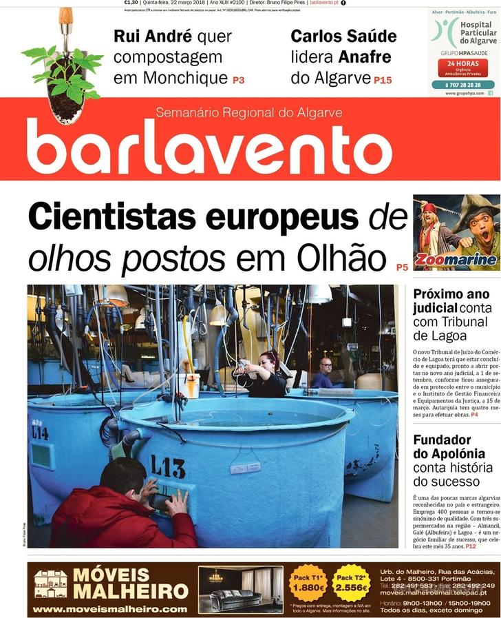 Barlavento