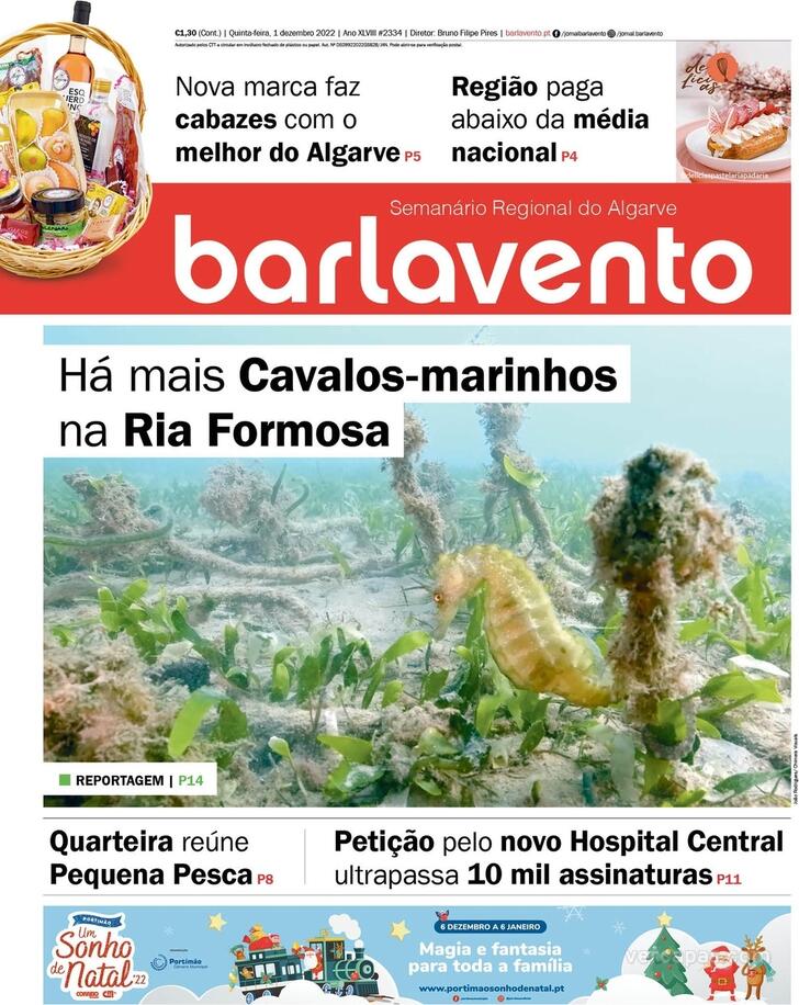 Barlavento