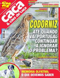 Caa & Ces de Caa