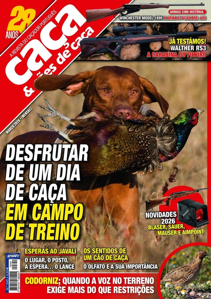 Ca�a & C�es de Ca�a