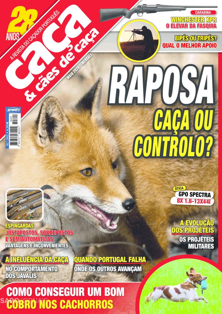 Caça & Cães de Caça