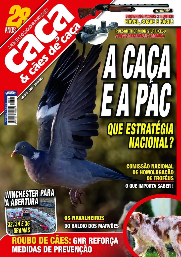 Caça & Cães de Caça