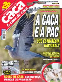 Ca�a & C�es de Ca�a