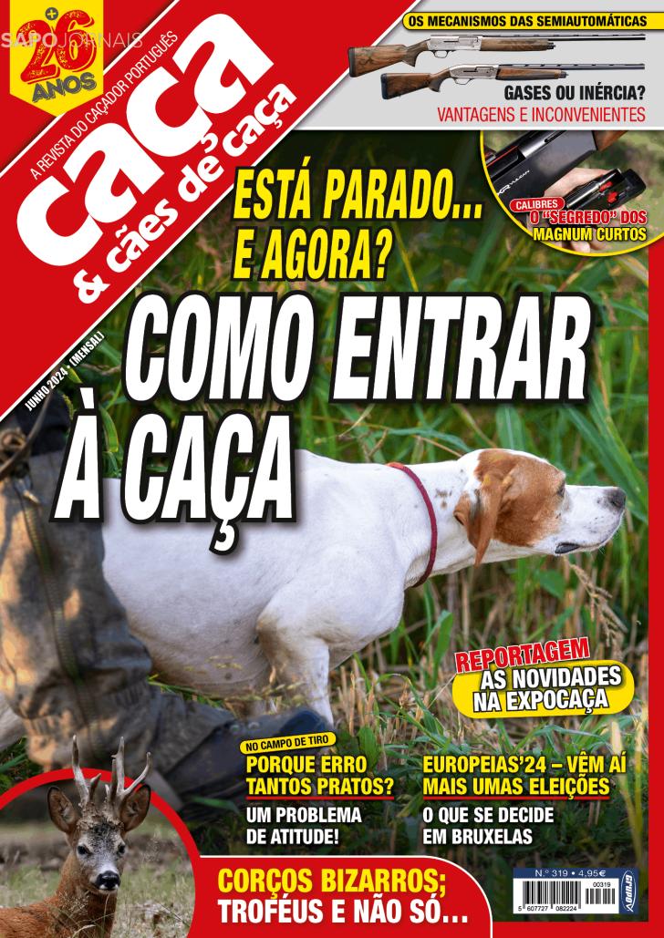 Caça & Cães de Caça