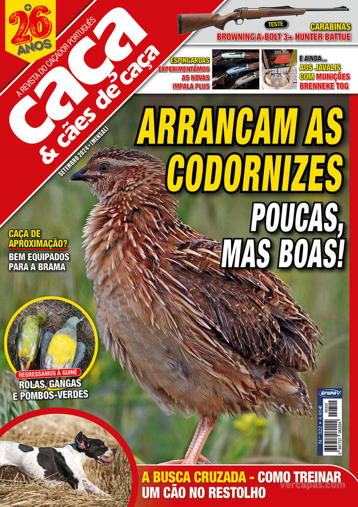 Caça & Cães de Caça