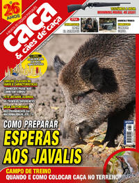 Caa & Ces de Caa - 2024-03-01