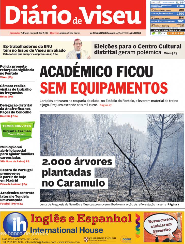 Dirio de Viseu