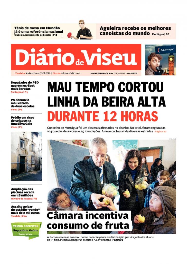 Dirio de Viseu