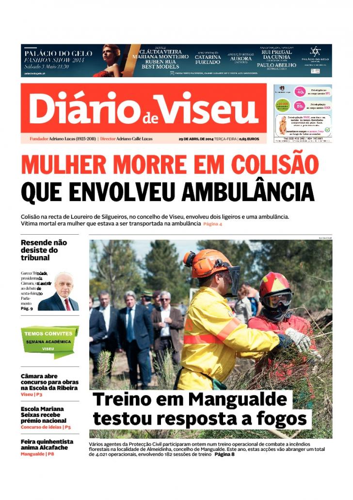 Dirio de Viseu