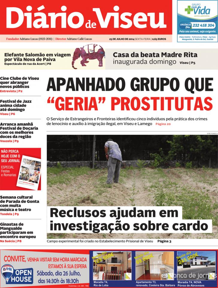Dirio de Viseu