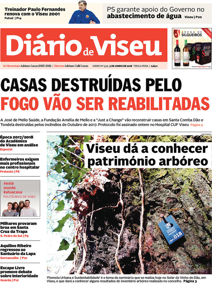 Diário de Viseu