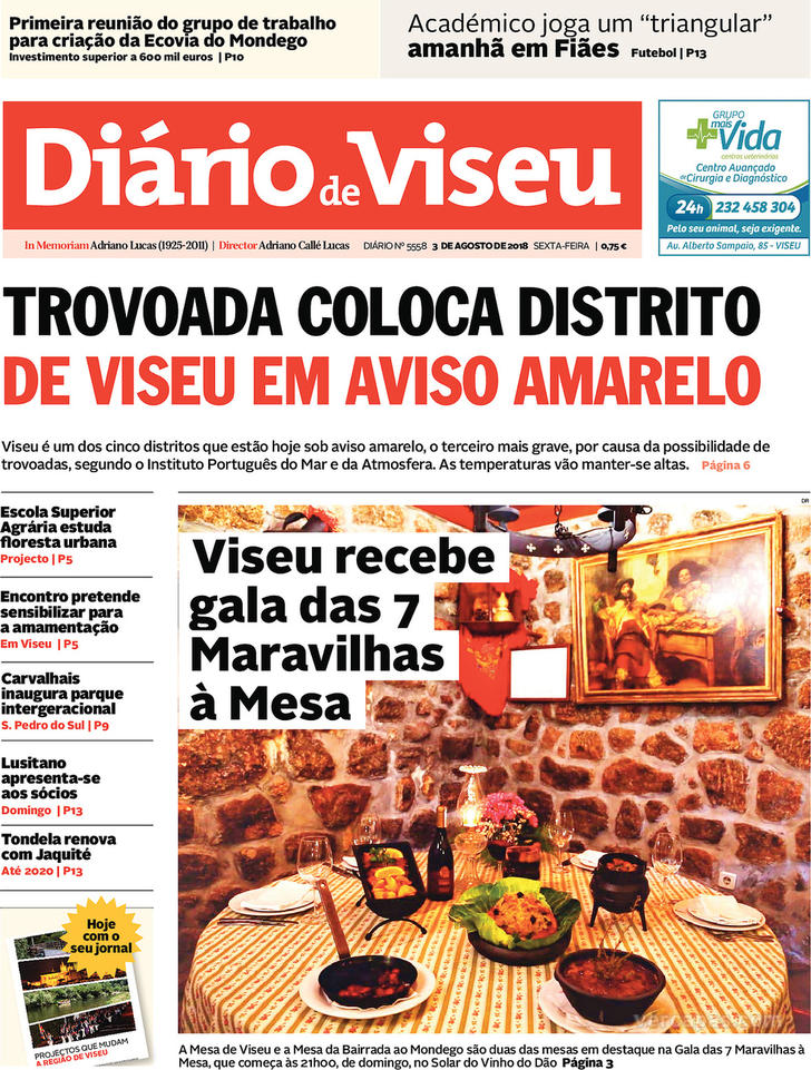 Dirio de Viseu