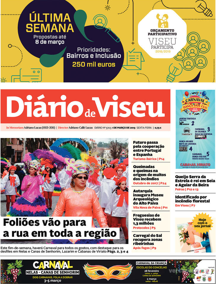 Diário de Viseu