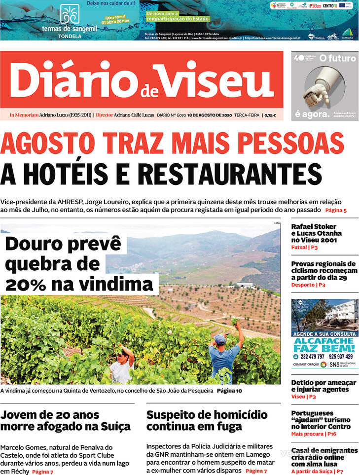 Diário de Viseu