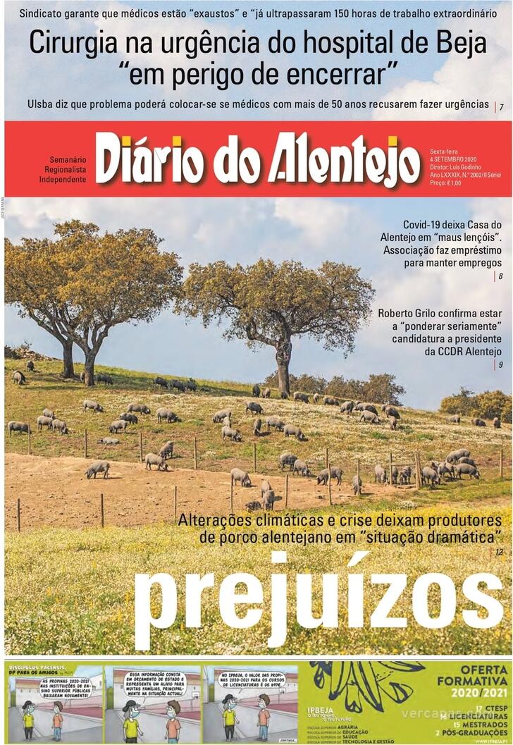 Dirio do Alentejo