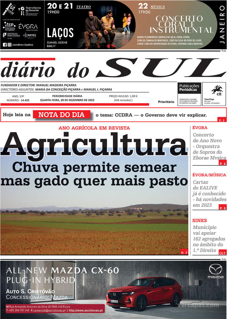 Dirio do Sul