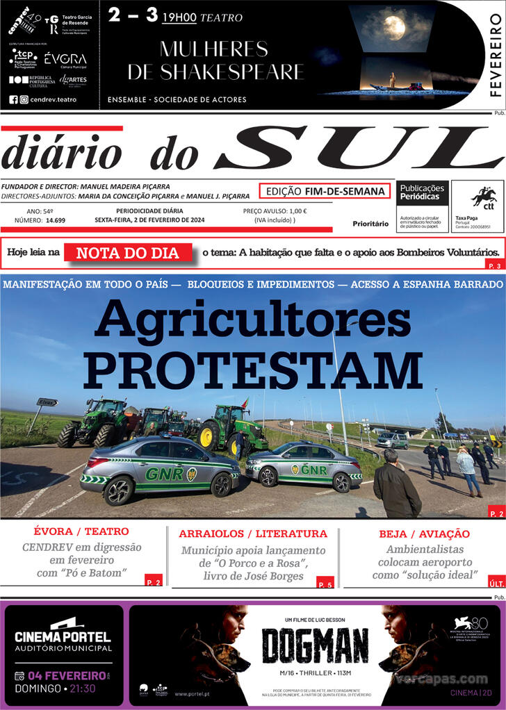 Dirio do Sul