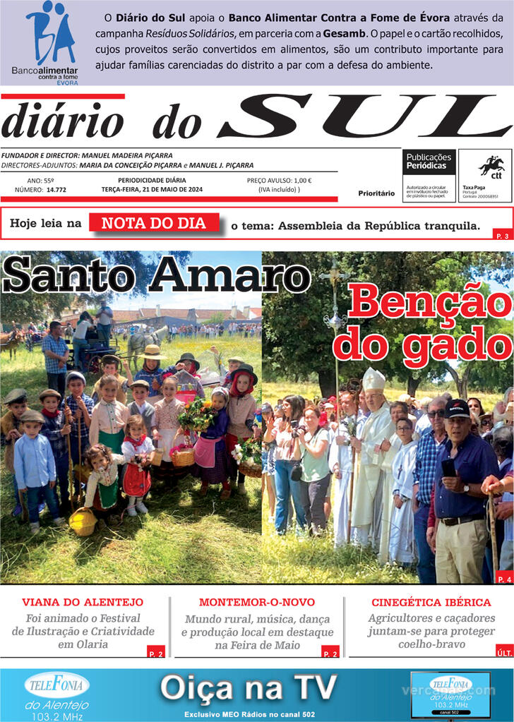 Dirio do Sul