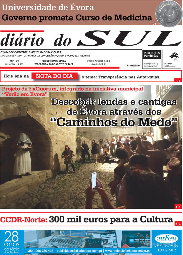 Dirio do Sul