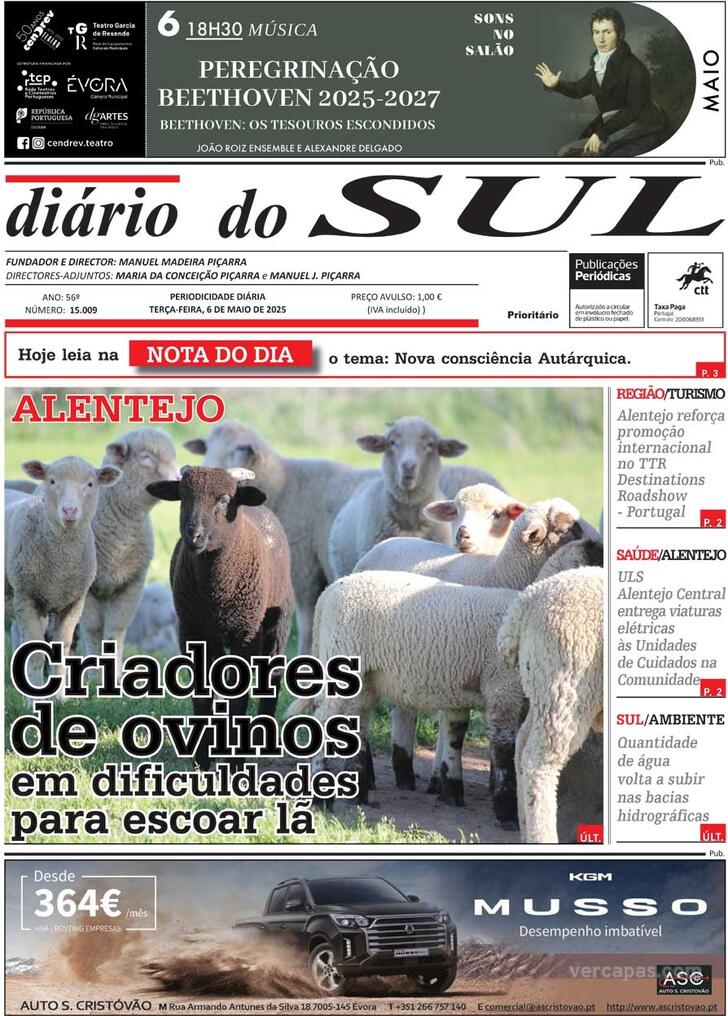 Dirio do Sul