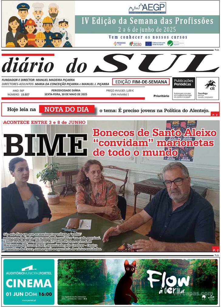 Dirio do Sul