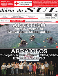 Dirio do Sul