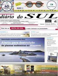 Dirio do Sul - 2025-08-13