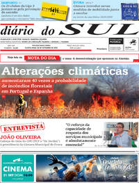 Dirio do Sul