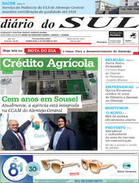 Dirio do Sul
