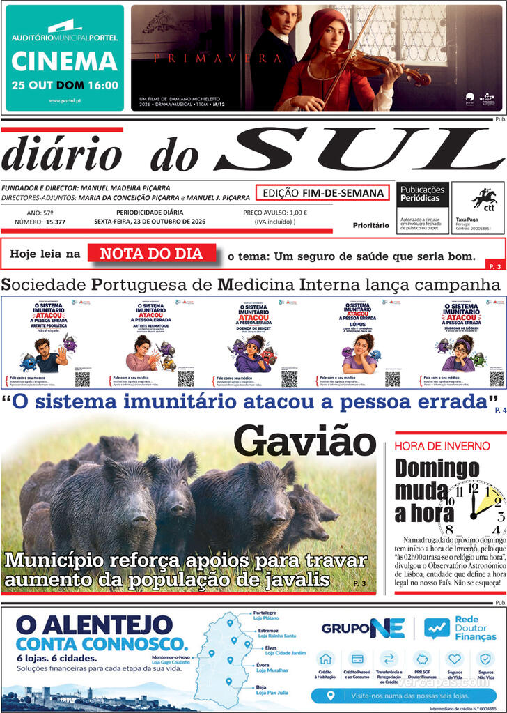 Diário do Sul