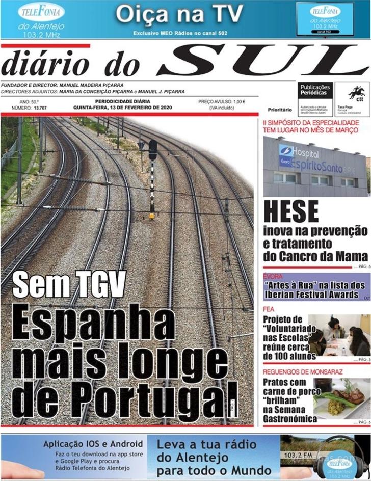 Dirio do Sul