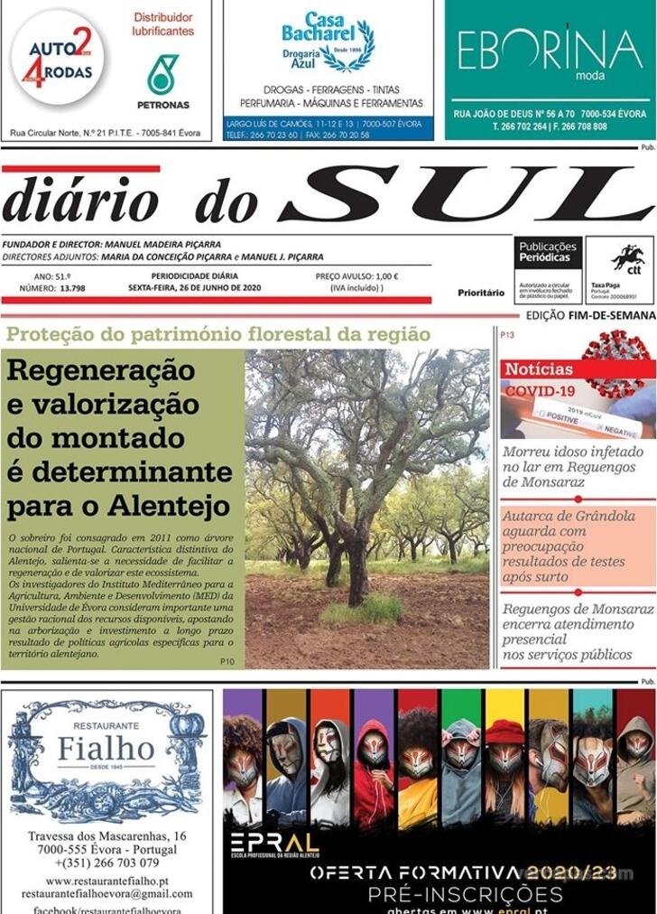 Dirio do Sul