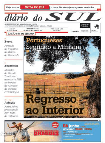 Dirio do Sul