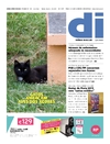 Dirio Insular - 2015-04-29