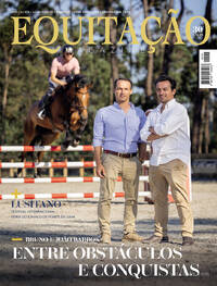 Equitao
