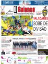 O Gaiense - 2014-04-18