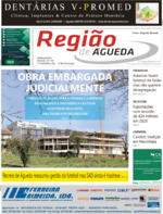 Região de Águeda - 2021-02-18