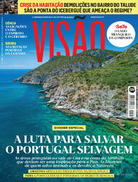 Viso
