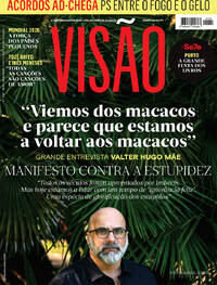 Visão