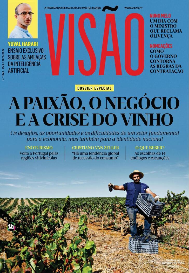 Visão